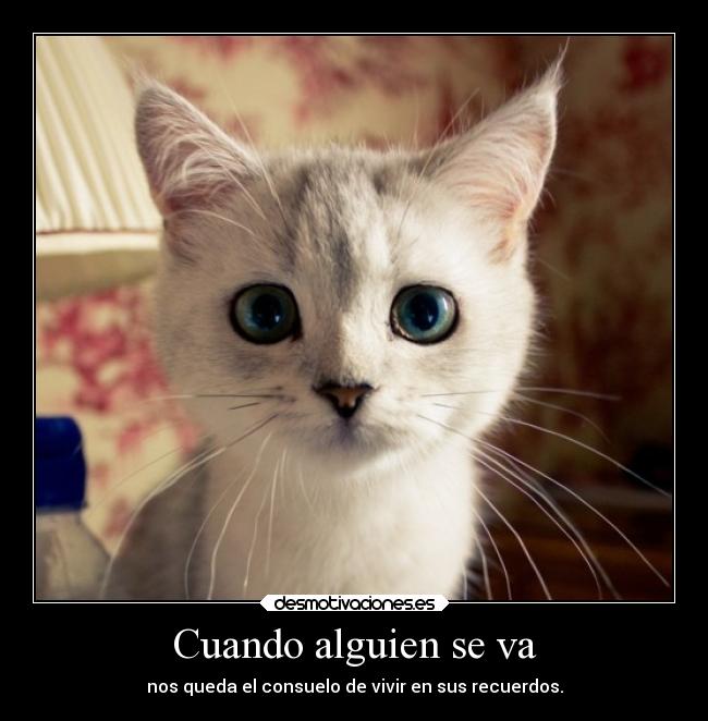 Cuando alguien se va - nos queda el consuelo de vivir en sus recuerdos.