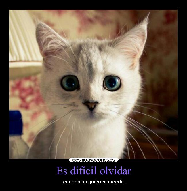 Es difícil olvidar - 