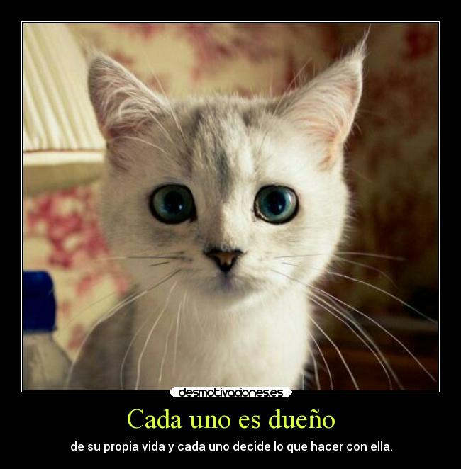 Cada uno es dueño - de su propia vida y cada uno decide lo que hacer con ella.
