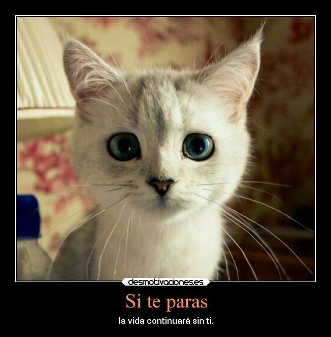 Si te paras - la vida continuará sin ti.