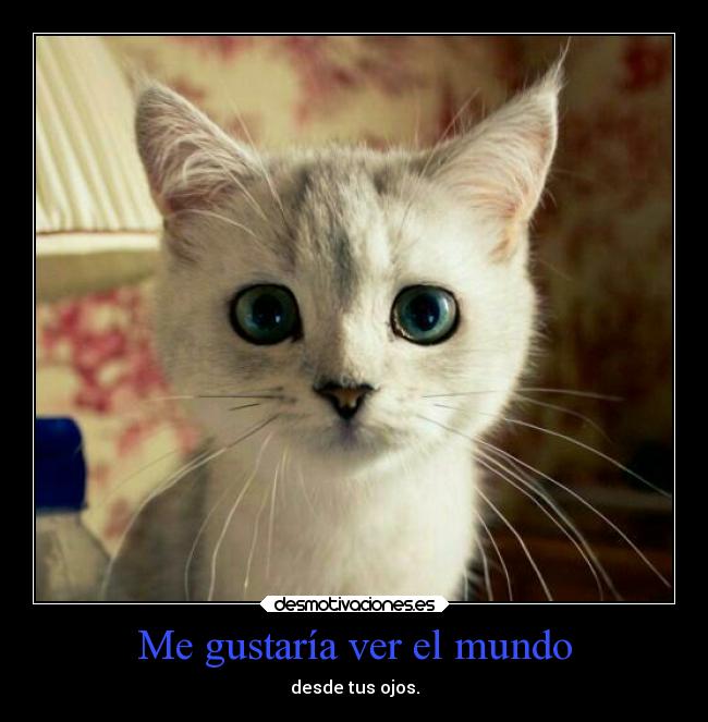 Me gustaría ver el mundo - desde tus ojos.