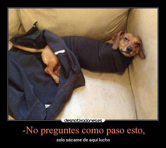 -No preguntes como paso esto, - solo sácame de aquí lucho