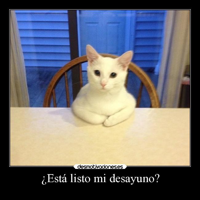 ¿Está listo mi desayuno? - 