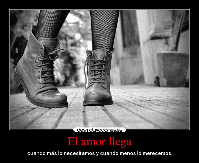 El amor llega - cuando más lo necesitamos y cuando menos lo merecemos.