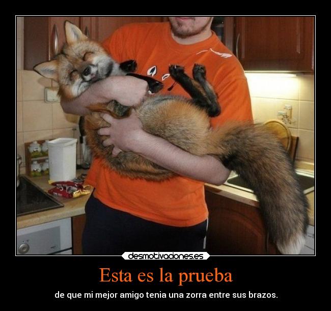Esta es la prueba - de que mi mejor amigo tenia una zorra entre sus brazos.