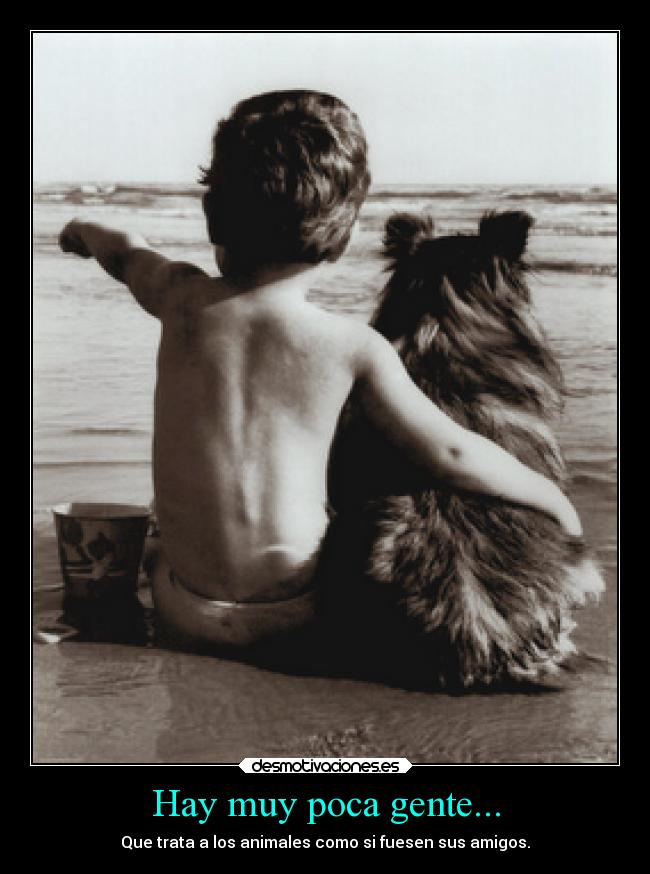 Hay muy poca gente... - 