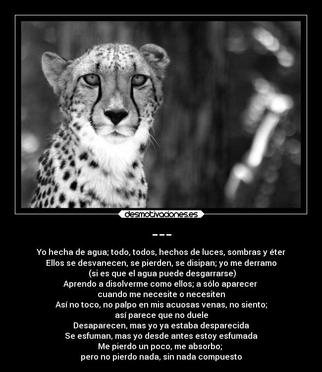 --- - Yo hecha de agua; todo, todos, hechos de luces, sombras y éter
Ellos se desvanecen, se pierden, se disipan; yo me derramo
 (si es que el agua puede desgarrarse)
Aprendo a disolverme como ellos; a sólo aparecer 
cuando me necesite o necesiten
Así no toco, no palpo en mis acuosas venas, no siento;
así parece que no duele
Desaparecen, mas yo ya estaba desparecida
Se esfuman, mas yo desde antes estoy esfumada
Me pierdo un poco, me absorbo; 
pero no pierdo nada, sin nada compuesto