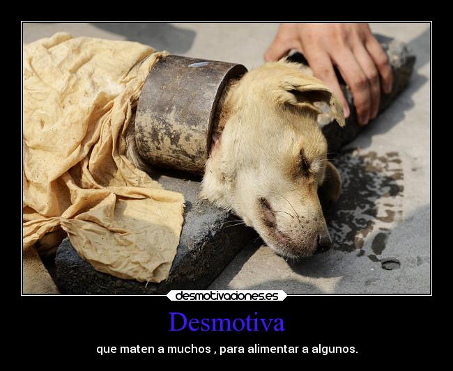 Desmotiva - que maten a muchos , para alimentar a algunos.