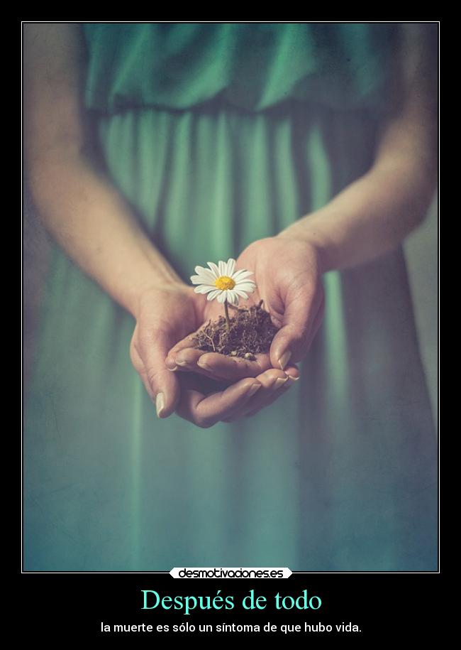 Después de todo - la muerte es sólo un síntoma de que hubo vida.