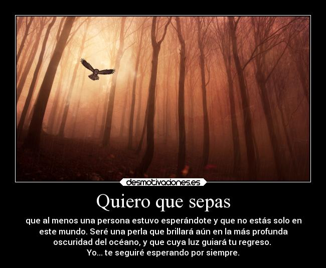 Quiero que sepas - que al menos una persona estuvo esperándote y que no estás solo en
este mundo. Seré una perla que brillará aún en la más profunda
oscuridad del océano, y que cuya luz guiará tu regreso. 
Yo... te seguiré esperando por siempre.