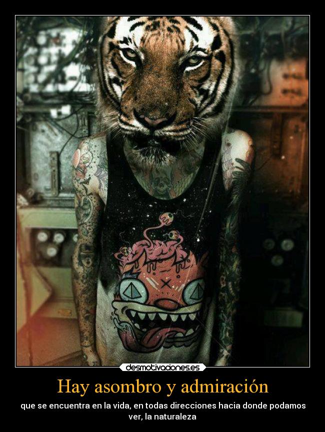 Hay asombro y admiración -