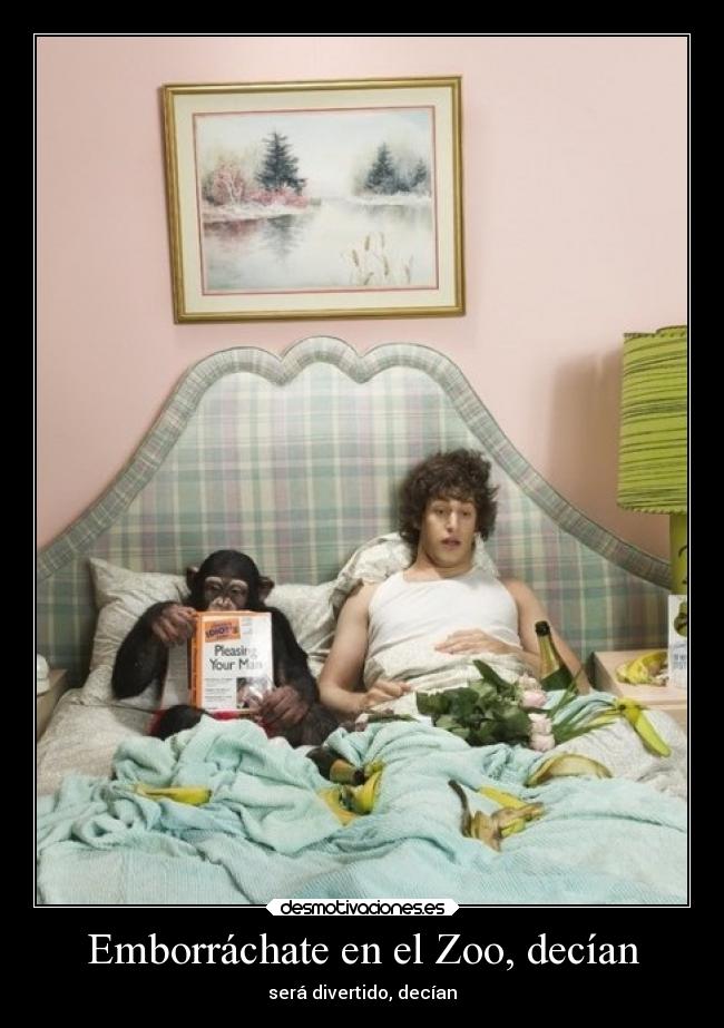 Emborráchate en el Zoo, decían - será divertido, decían