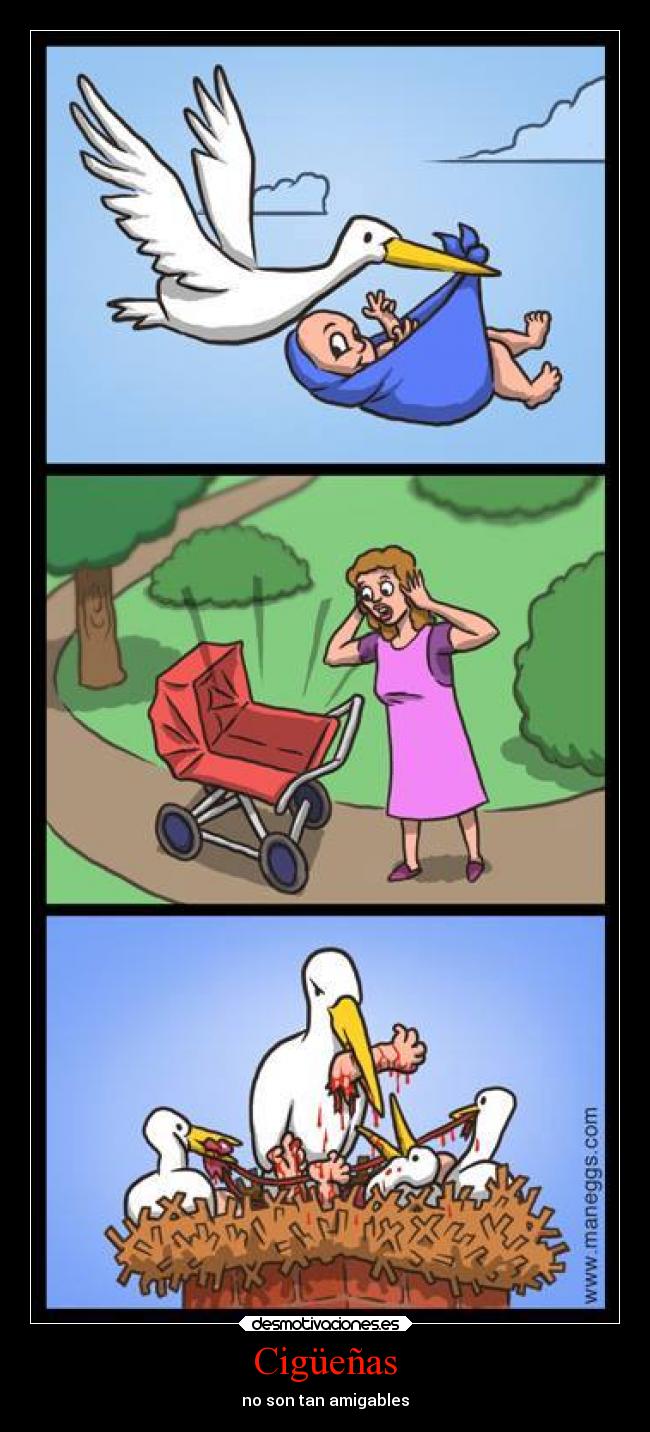 Cigüeñas - no son tan amigables
