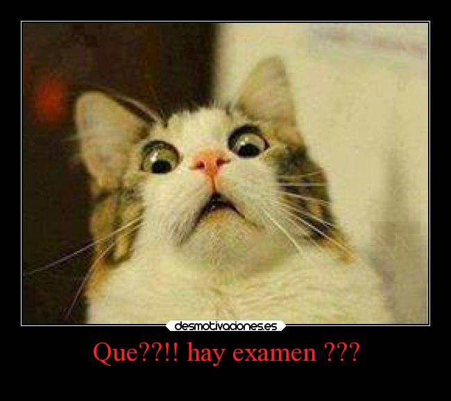 Que??!! hay examen ??? - 