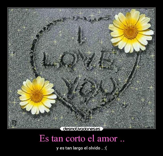 Es tan corto el amor .. - y es tan largo el olvido .. :(