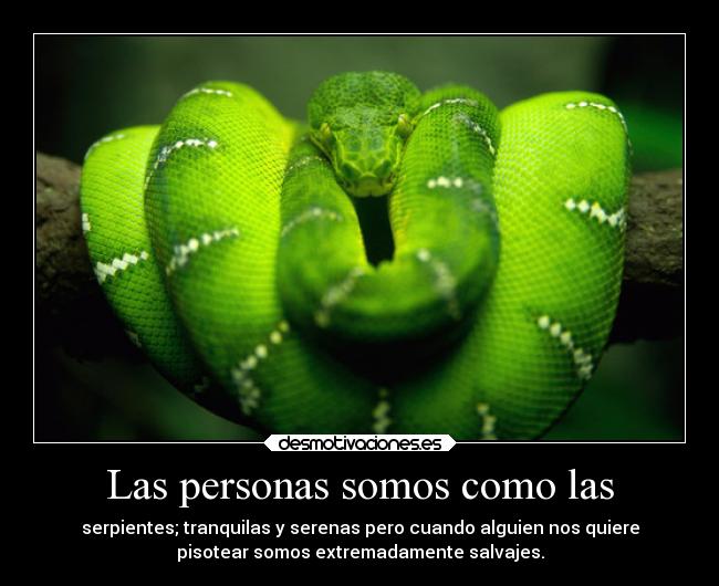 Las personas somos como las -