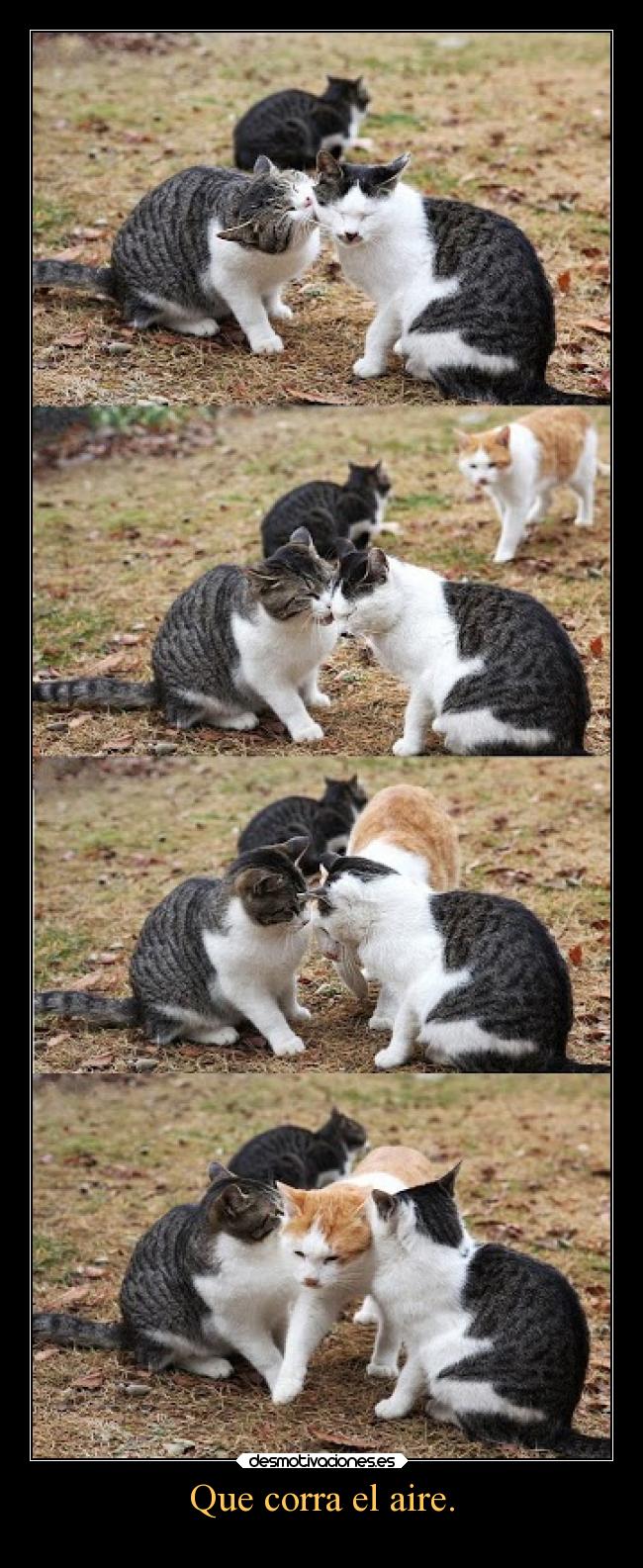 Que corra el aire. - 