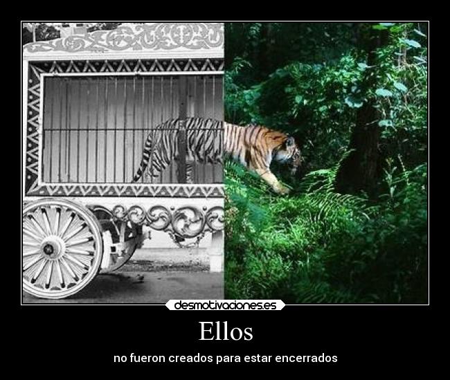 Ellos -