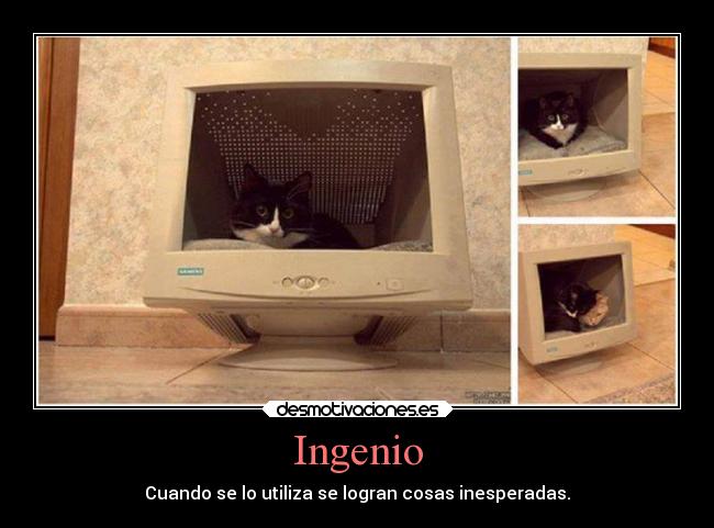 carteles vida ingenio gatosreciclaje animales mastercat desmotivaciones