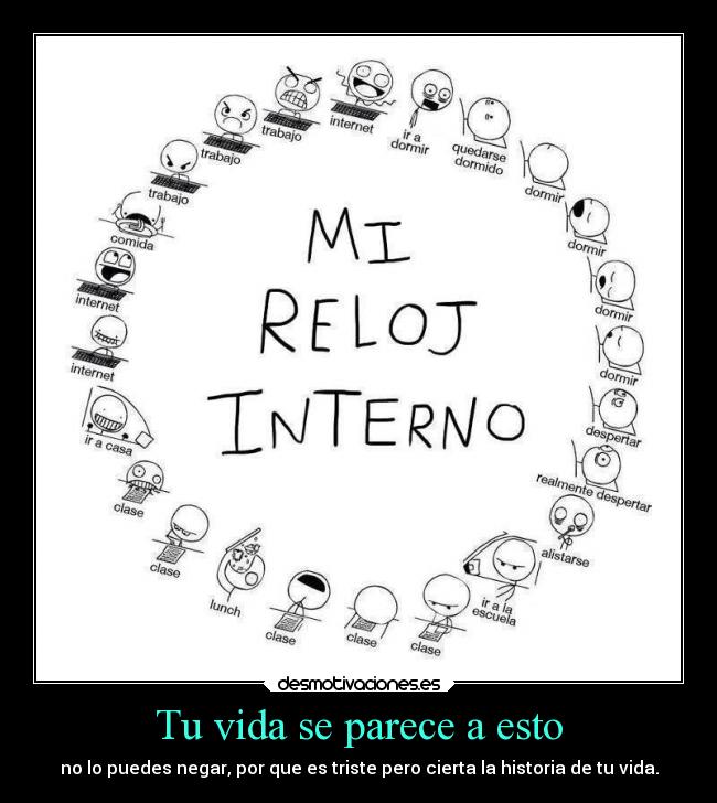 Tu vida se parece a esto - 