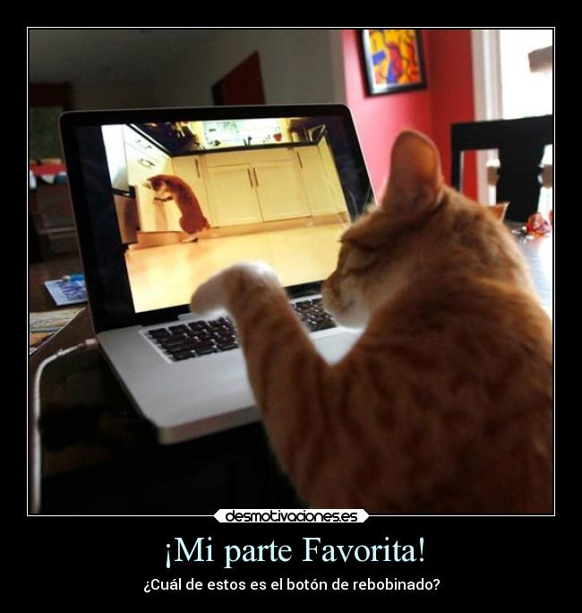 ¡Mi parte Favorita! - ¿Cuál de estos es el botón de rebobinado?