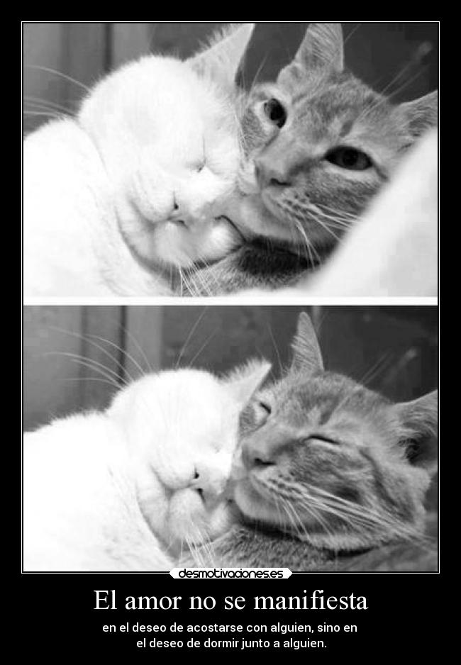 El amor no se manifiesta - en el deseo de acostarse con alguien, sino en
el deseo de dormir junto a alguien.