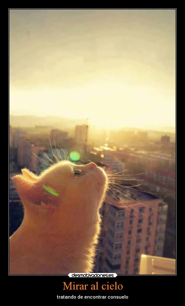 Mirar al cielo -