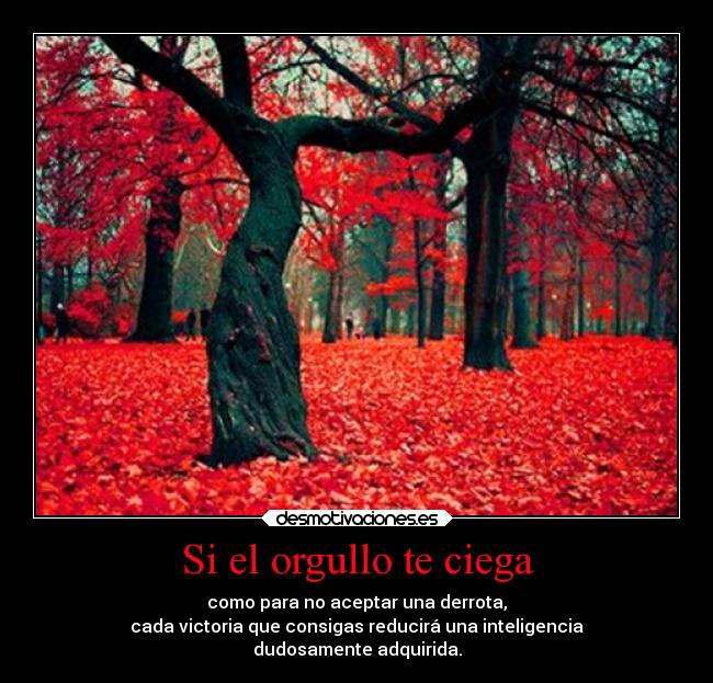 Si el orgullo te ciega -