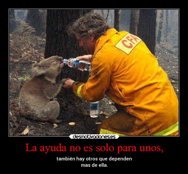 La ayuda no es solo para unos, - también hay otros que dependen
mas de ella.