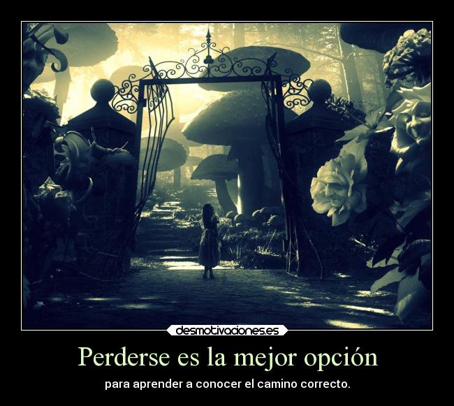 Perderse es la mejor opción -