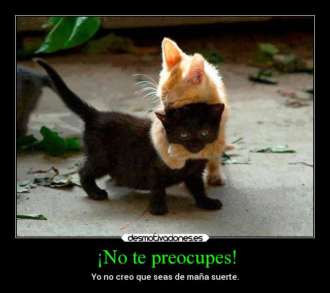 ¡No te preocupes! - Yo no creo que seas de maña suerte.