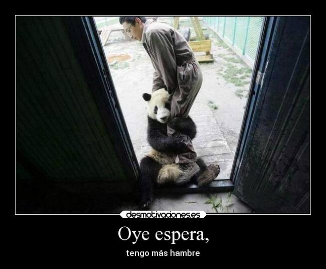 Oye espera, - tengo más hambre