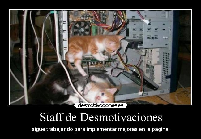 Staff de Desmotivaciones -
