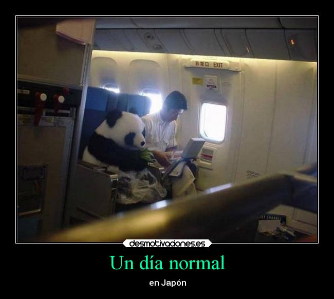 carteles cosas que pasan desmotivaciones