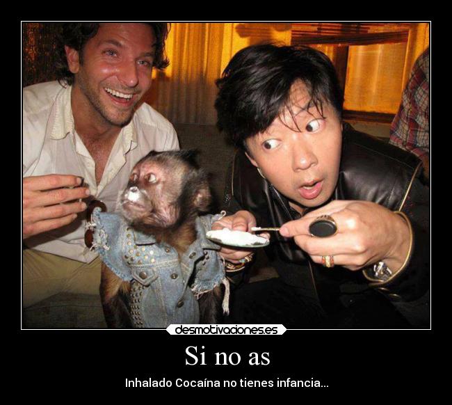 carteles ignorancia graciosas desmotivaciones