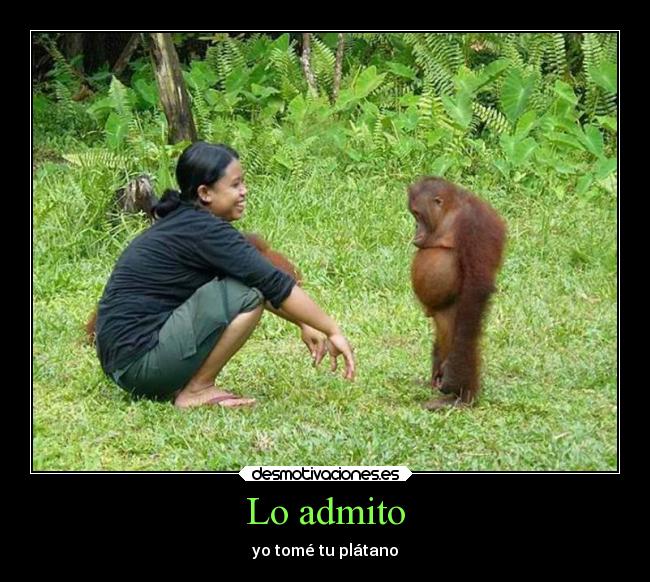 carteles alegria animales desmotivaciones graciosas humor vida desmotivaciones