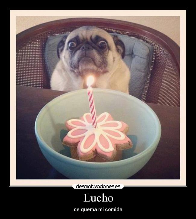 Lucho - se quema mi comida