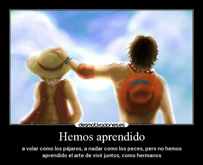 carteles anime ayuda ace hermandad one piece desmotivaciones