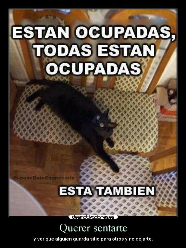 carteles animales gatosasiento lolsomething desmotivaciones