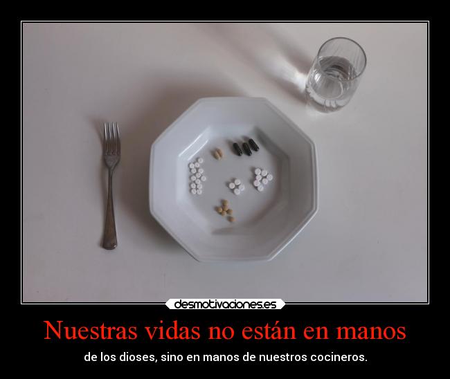 Nuestras vidas no están en manos - de los dioses, sino en manos de nuestros cocineros.