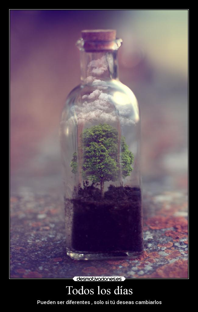 Todos los días - Pueden ser diferentes , solo si tú deseas cambiarlos