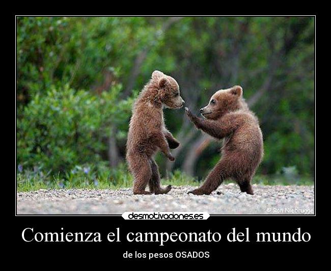 carteles mundo animales desmotivaciones