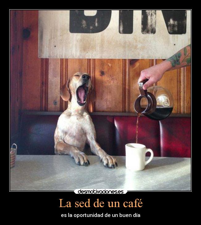 La sed de un café - 