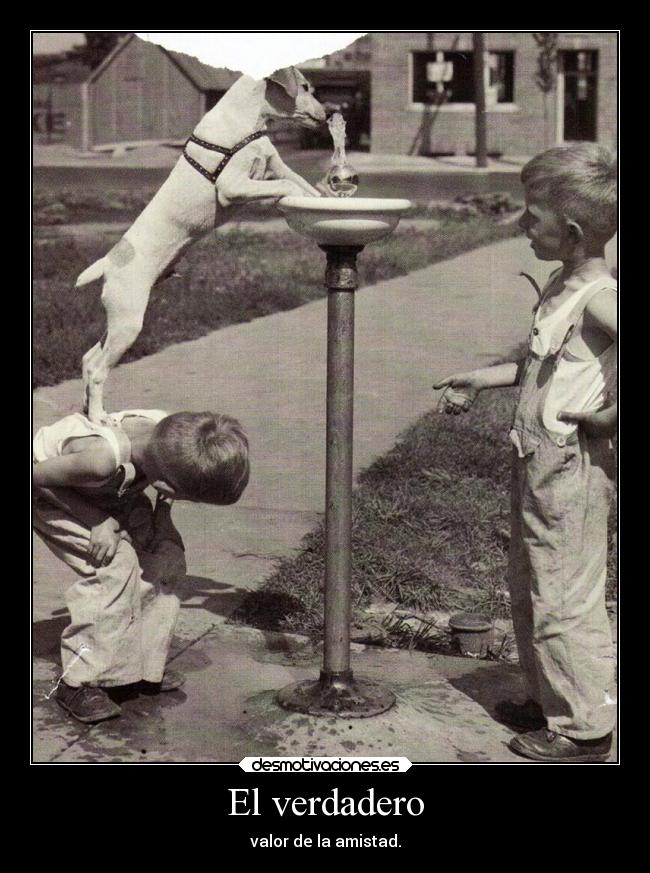 El verdadero - valor de la amistad.
