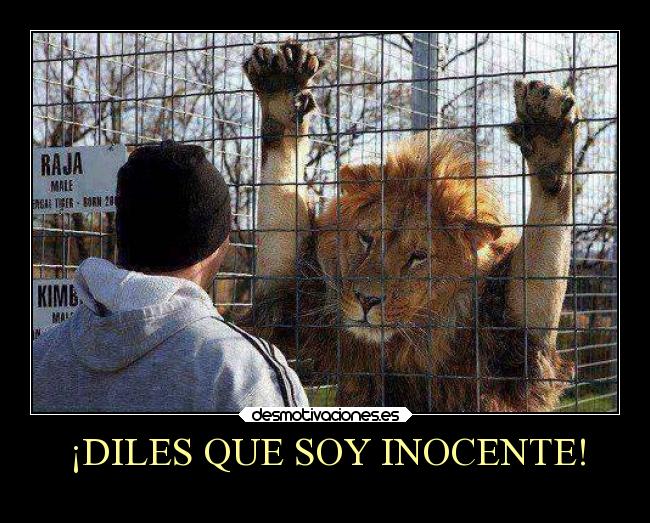 ¡DILES QUE SOY INOCENTE! -