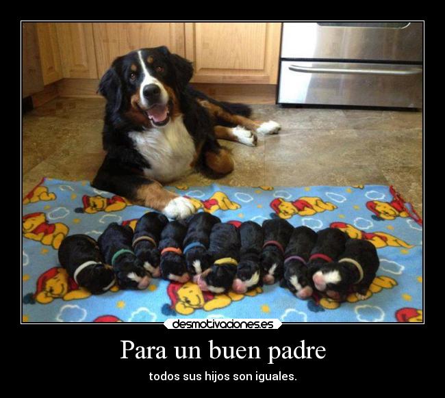 carteles padre perritos desmotivaciones