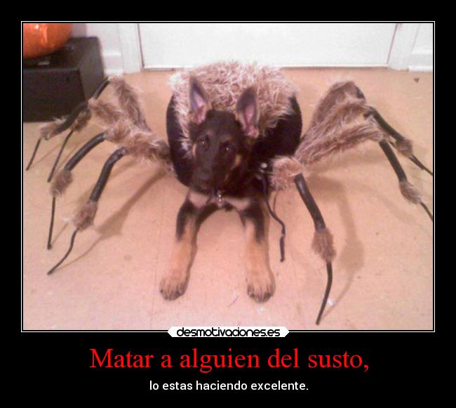 Matar a alguien del susto, - lo estas haciendo excelente.