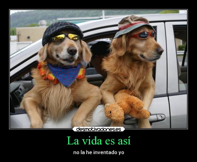 La vida es así - 