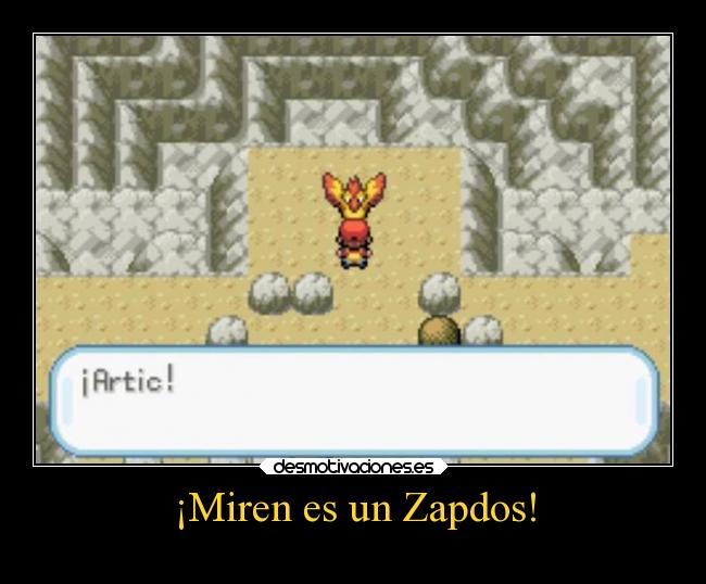 ¡Miren es un Zapdos! - 