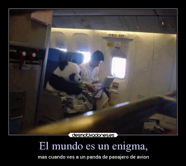 carteles mundo vida mundo animales desmotivaciones